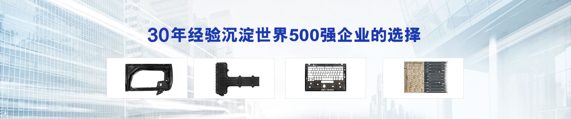 30年经验沉淀，世界500强企业的选择