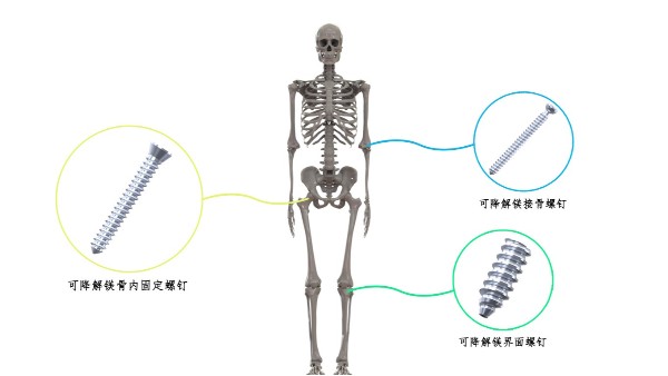 喜讯：乐发500科技荣获2024中华医学科技奖